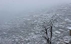 Photo of Different shades of Snow -Himachal-2017, great experience... 5/43 by Bhupender Singh