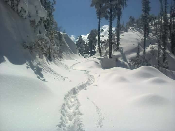 Photo of Different shades of Snow -Himachal-2017, great experience... 1/43 by Bhupender Singh