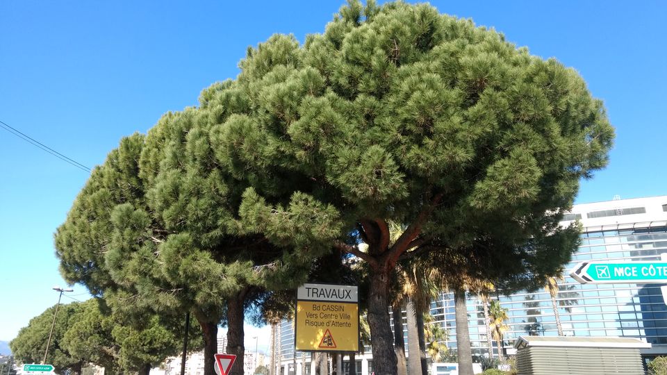 Photo of Nice, France by Bhupender Singh