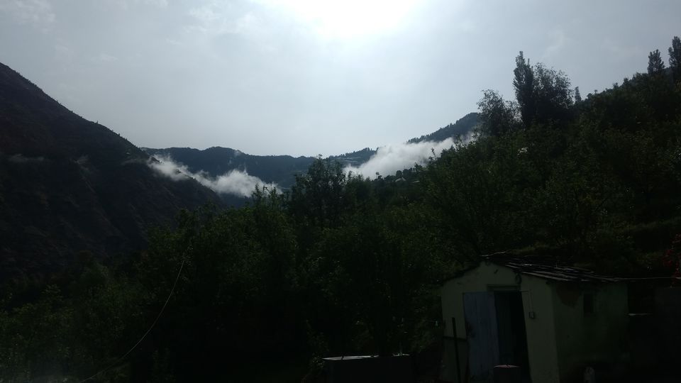 Photo of Jaban, Himachal Pradesh, India by Bhupender Singh