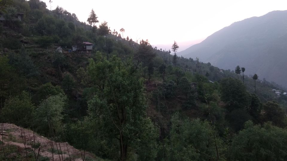 Photo of Jaban, Himachal Pradesh, India by Bhupender Singh