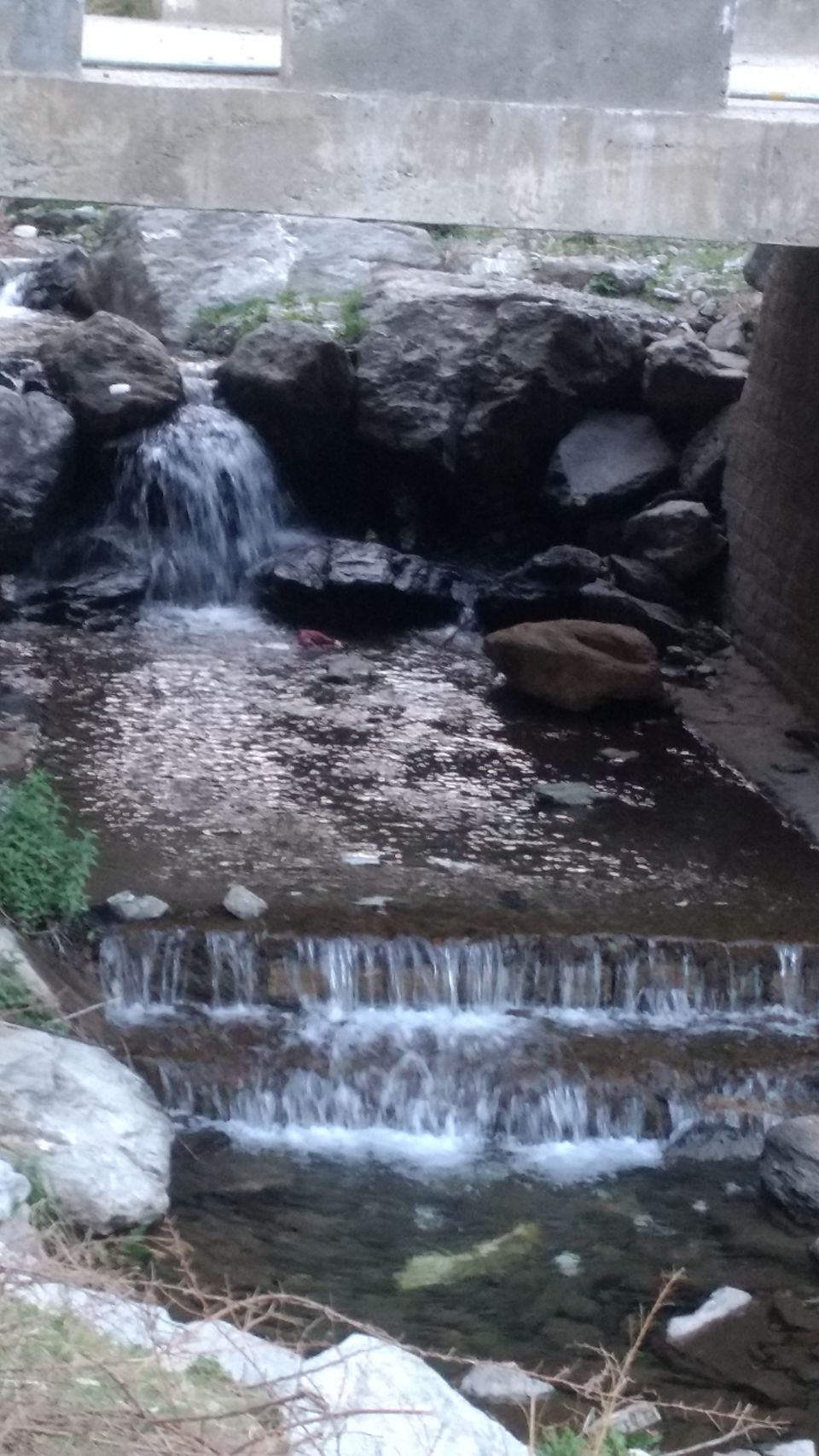 Photo of Jaban, Himachal Pradesh, India by Bhupender Singh
