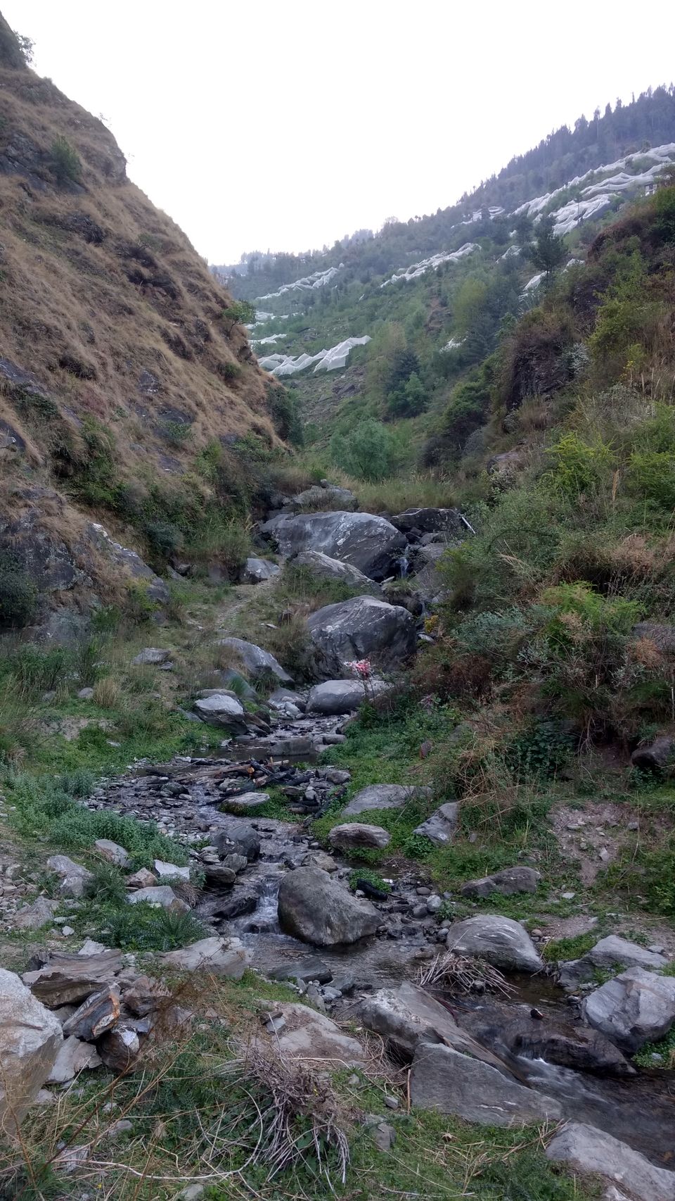 Photo of Jaban, Himachal Pradesh, India by Bhupender Singh
