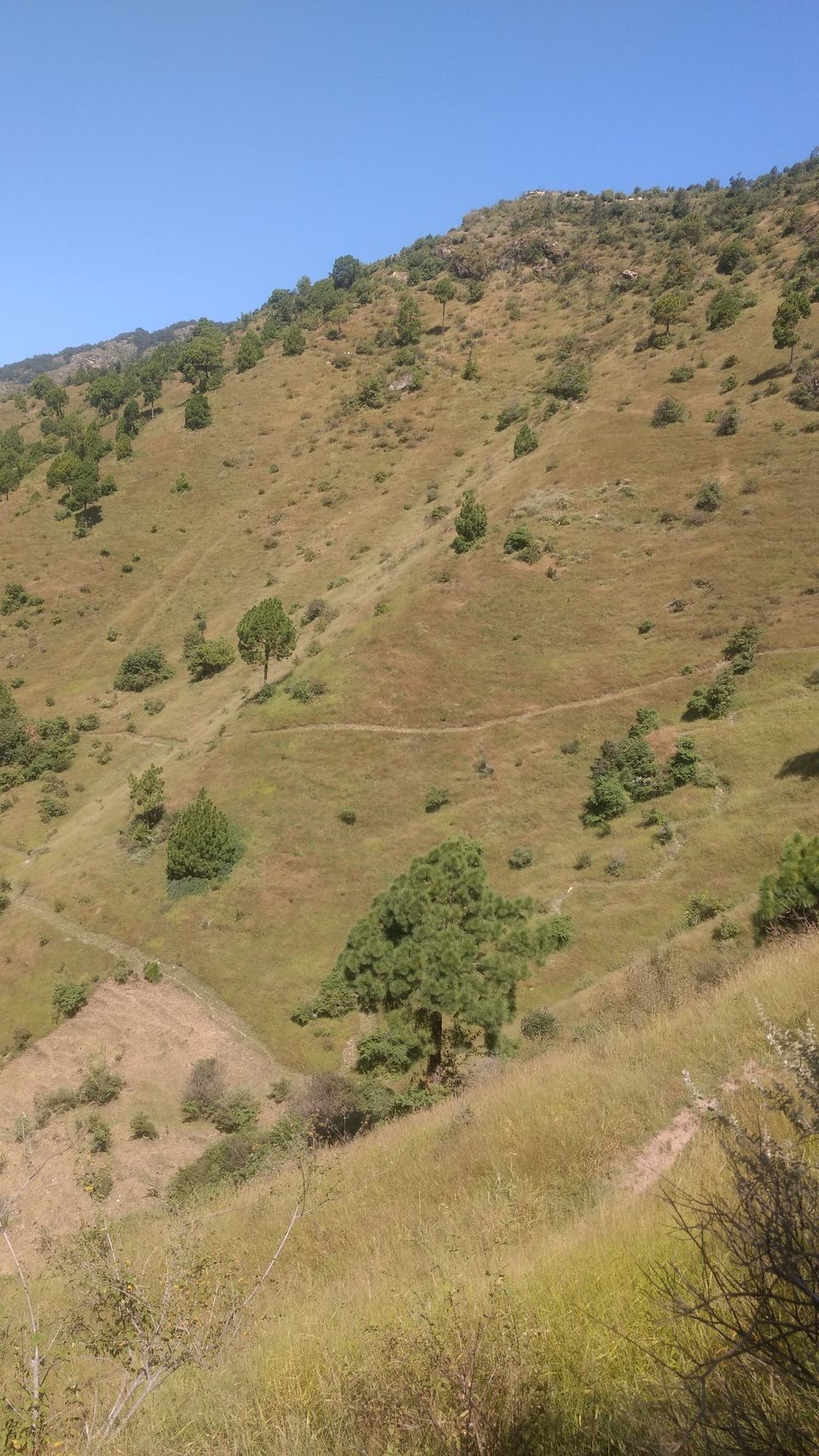 Photo of Love trekking? Karol-Ka-Tibba (Solan) & Pandava's Cave Are Waiting For You! 6/22 by Bhupender Singh