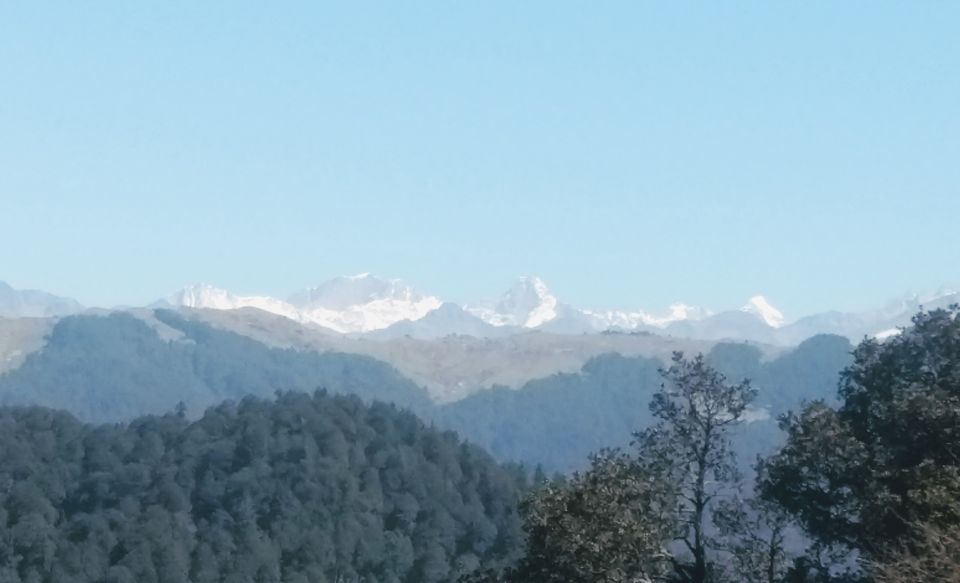 Photo of by Bhupender Singh