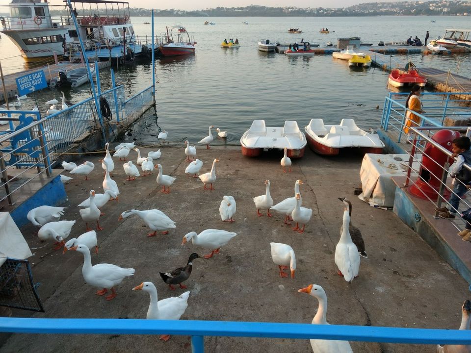 Photo of A day at Bhopal 17/26 by Bhupender Singh