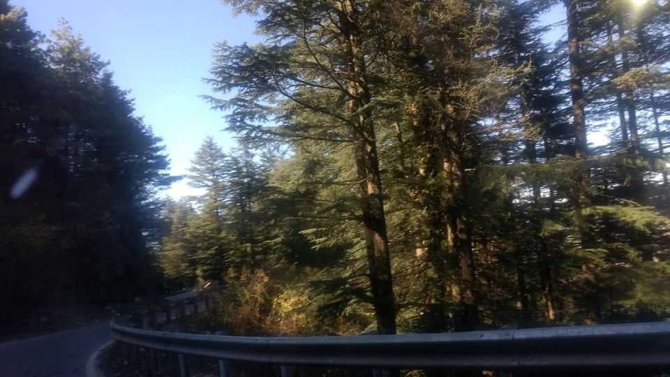 Photo of Fagu-Shimla-Himachal- An ideal extended weekend destination in the lap of Mother Nature 6/13 by Bhupender Singh
