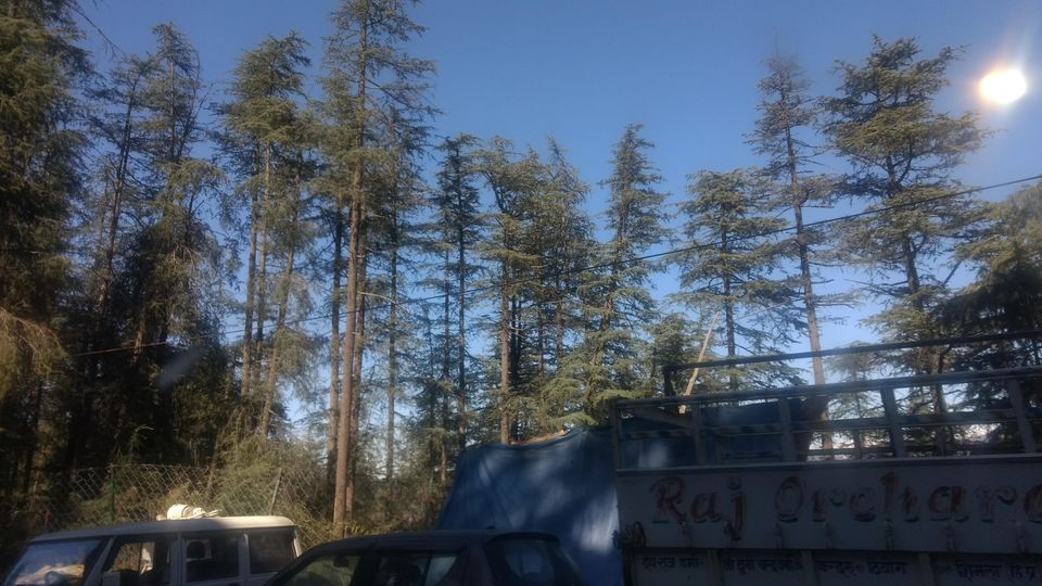 Photo of Fagu-Shimla-Himachal- An ideal extended weekend destination in the lap of Mother Nature 7/13 by Bhupender Singh