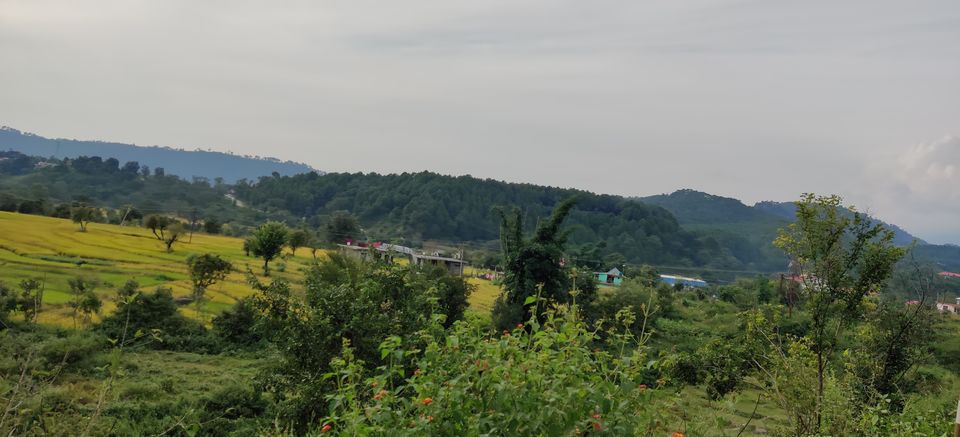 Photo of Palampur, Himachal : Quite and serene destination in perfect ambience of Dhauladhar ranges 37/43 by Bhupender Singh