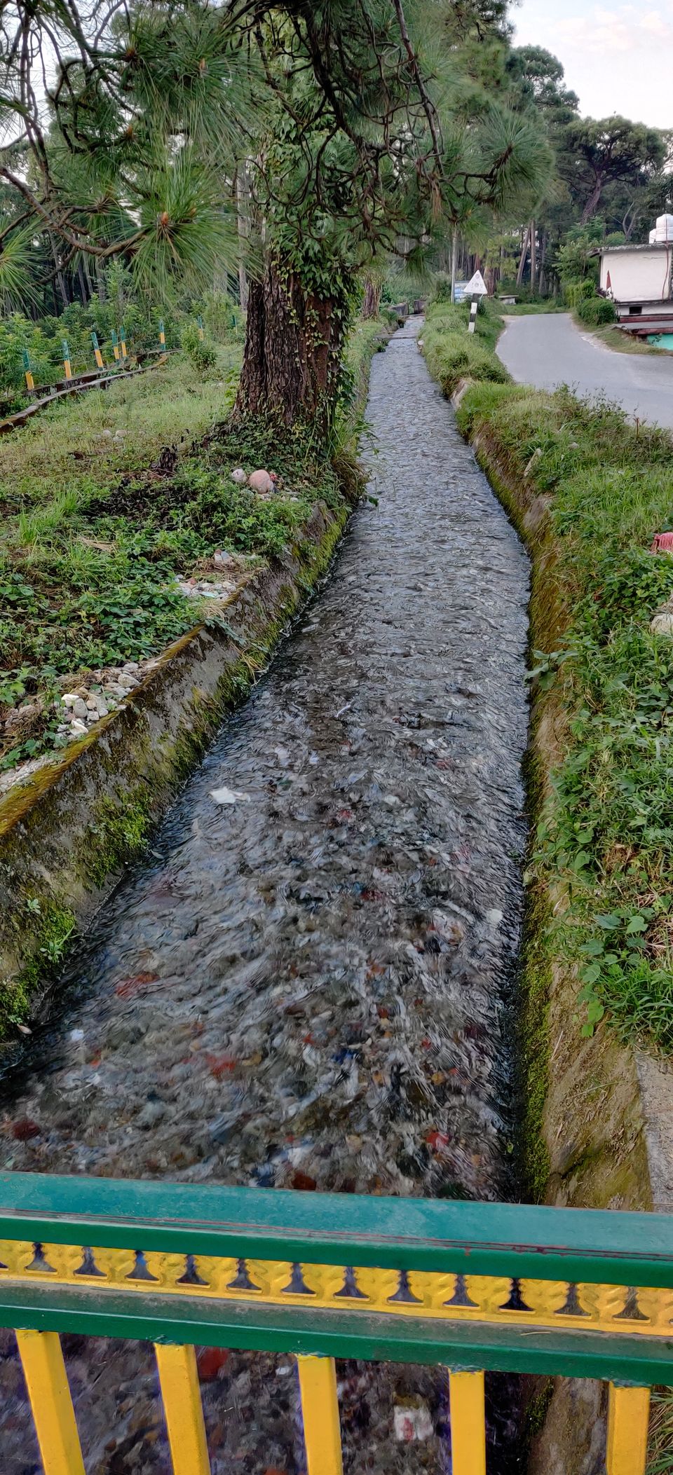 Photo of Palampur, Himachal : Quite and serene destination in perfect ambience of Dhauladhar ranges 22/43 by Bhupender Singh