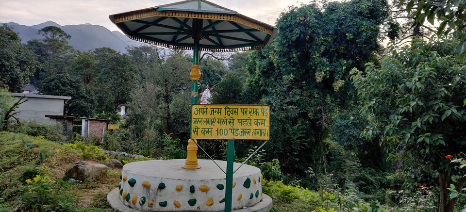 Photo of Palampur, Himachal : Quite and serene destination in perfect ambience of Dhauladhar ranges 24/43 by Bhupender Singh