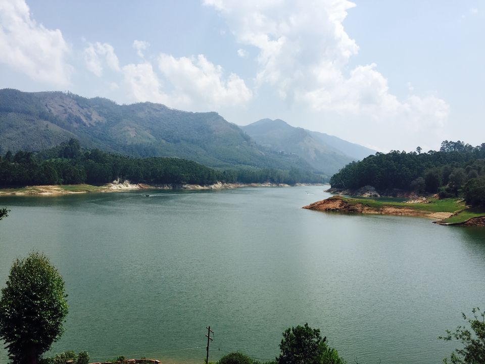 Photo of Munnar - Heaven on Earth by Terrence Manne