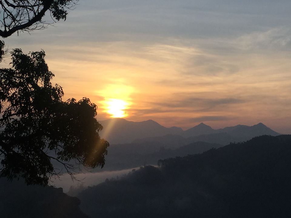 Photo of Munnar - Heaven on Earth by Terrence Manne