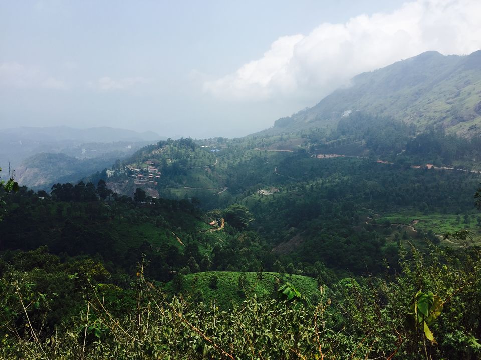 Photo of Munnar - Heaven on Earth by Terrence Manne