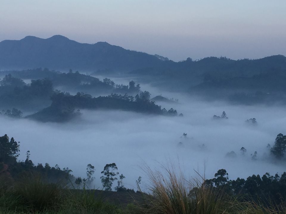 Photo of Munnar - Heaven on Earth by Terrence Manne