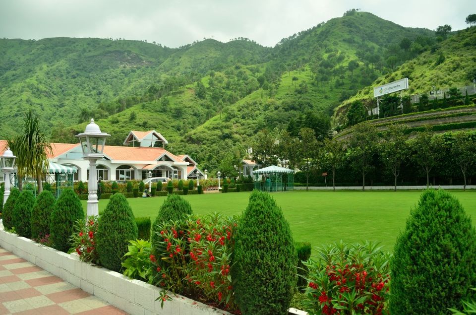 Photo of Kandaghat: Nature's heart beats strong amid the hills 1/2 by Vernika Awal