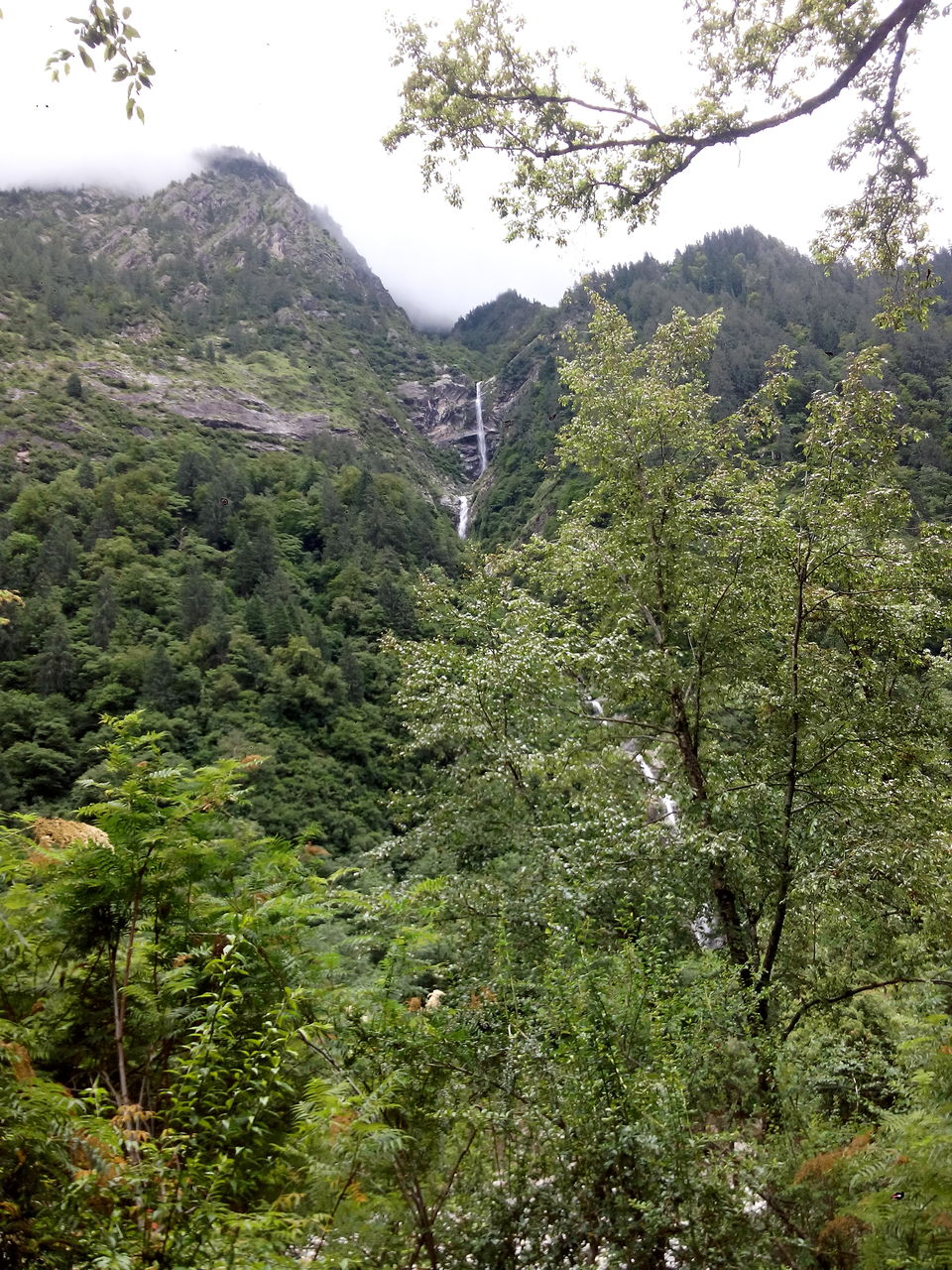 Photo of Solo Trip to the Valley of Flowers : Where the Heavens descend on Earth 15/53 by Dushyant Chauhan