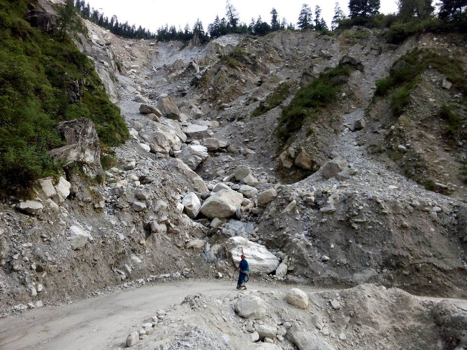 Photo of Solo Trip to the Valley of Flowers : Where the Heavens descend on Earth 21/53 by Dushyant Chauhan
