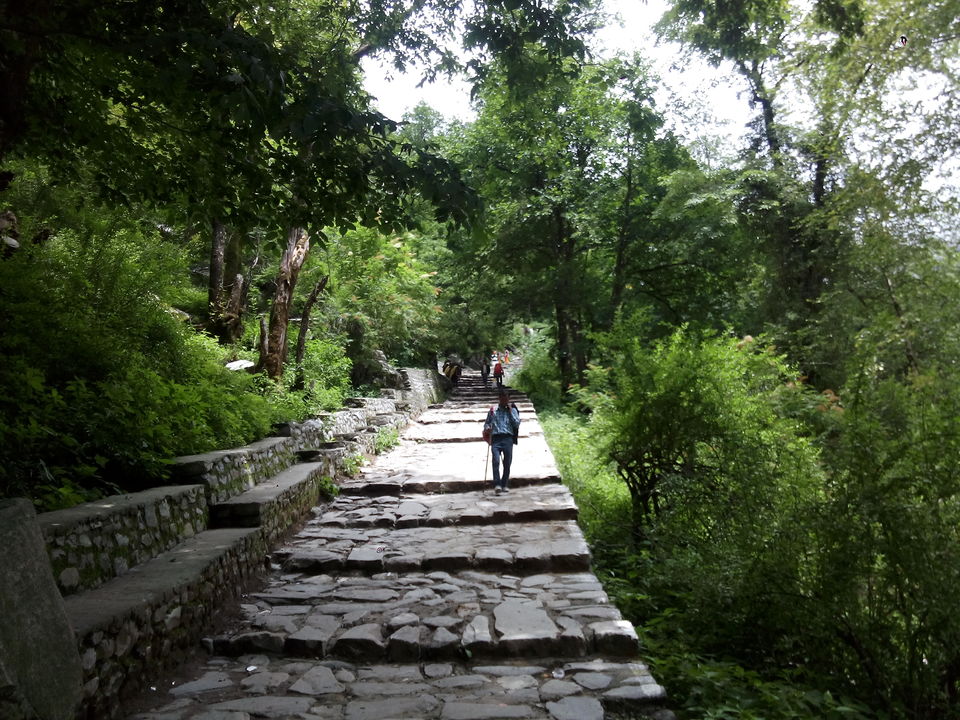 Photo of Solo Trip to the Valley of Flowers : Where the Heavens descend on Earth 26/53 by Dushyant Chauhan