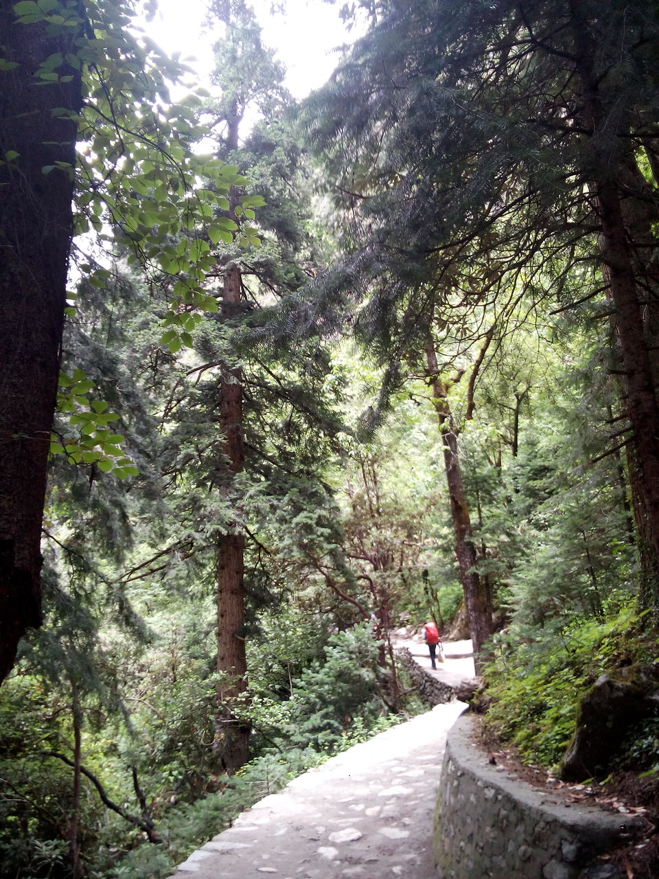 Photo of Solo Trip to the Valley of Flowers : Where the Heavens descend on Earth 27/53 by Dushyant Chauhan
