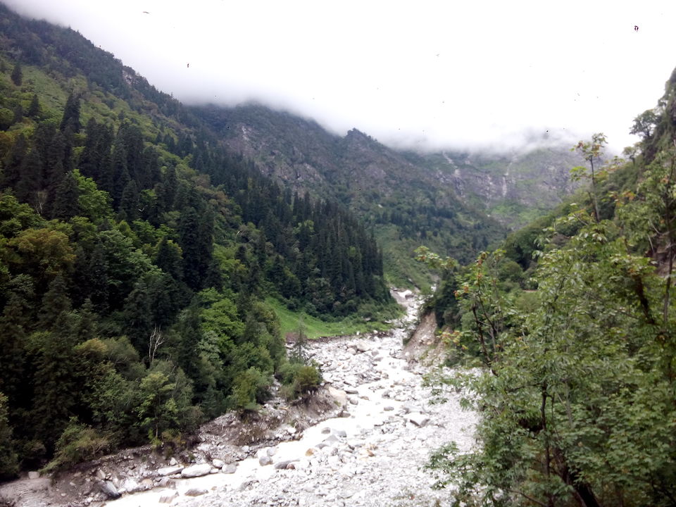 Photo of Solo Trip to the Valley of Flowers : Where the Heavens descend on Earth 29/53 by Dushyant Chauhan