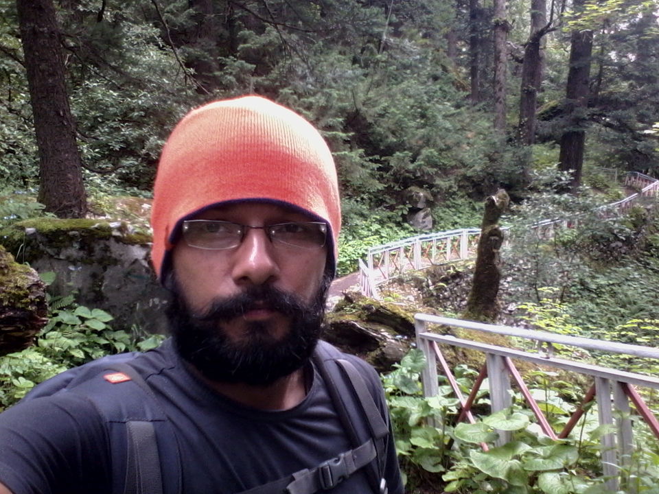 Photo of Solo Trip to the Valley of Flowers : Where the Heavens descend on Earth 32/53 by Dushyant Chauhan