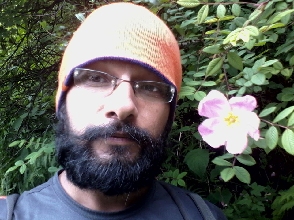 Photo of Solo Trip to the Valley of Flowers : Where the Heavens descend on Earth 42/53 by Dushyant Chauhan