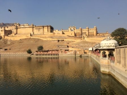 Photo of Touch of Pink - Jaipur 12/17 by ASHISH RAWAT