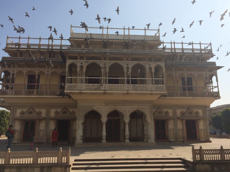 Photo of Touch of Pink - Jaipur 16/17 by ASHISH RAWAT