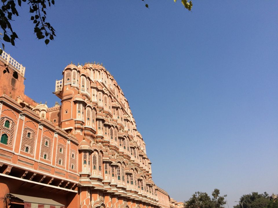 Photo of Touch of Pink - Jaipur 3/17 by ASHISH RAWAT