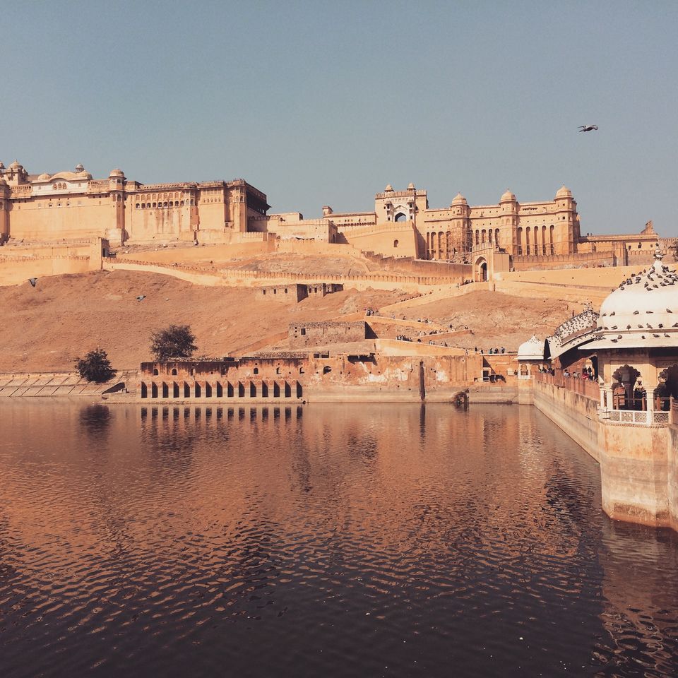 Photo of Touch of Pink - Jaipur 7/17 by ASHISH RAWAT