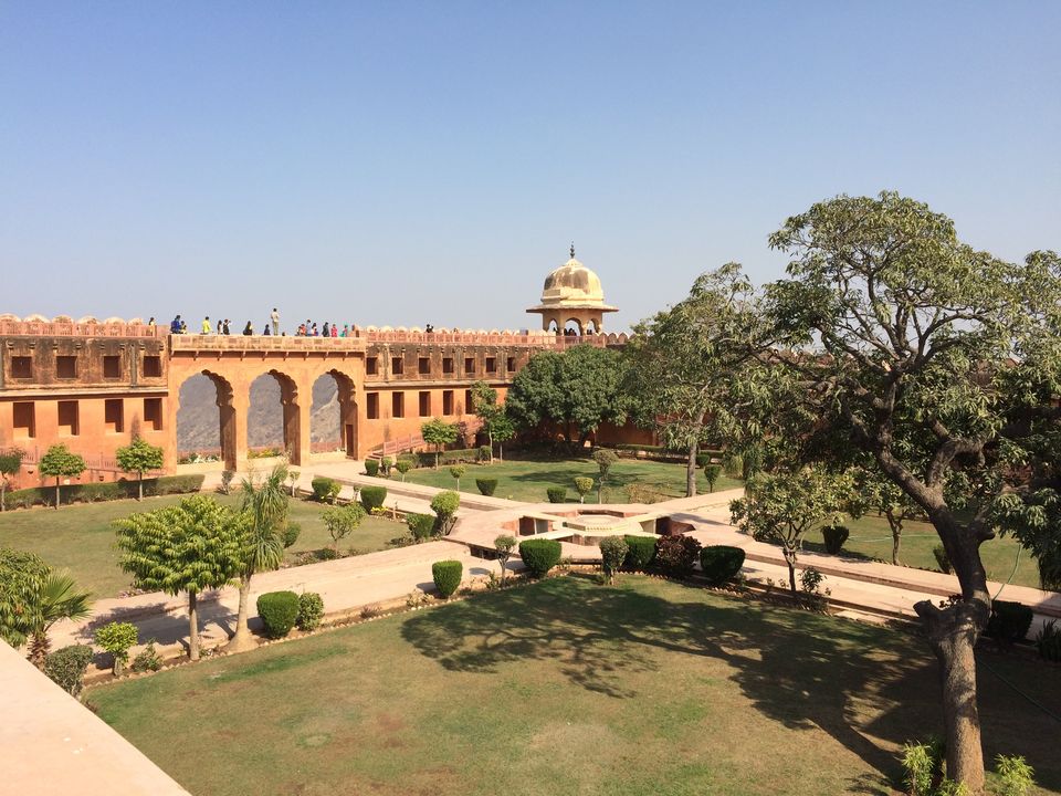 Photo of Touch of Pink - Jaipur 9/17 by ASHISH RAWAT