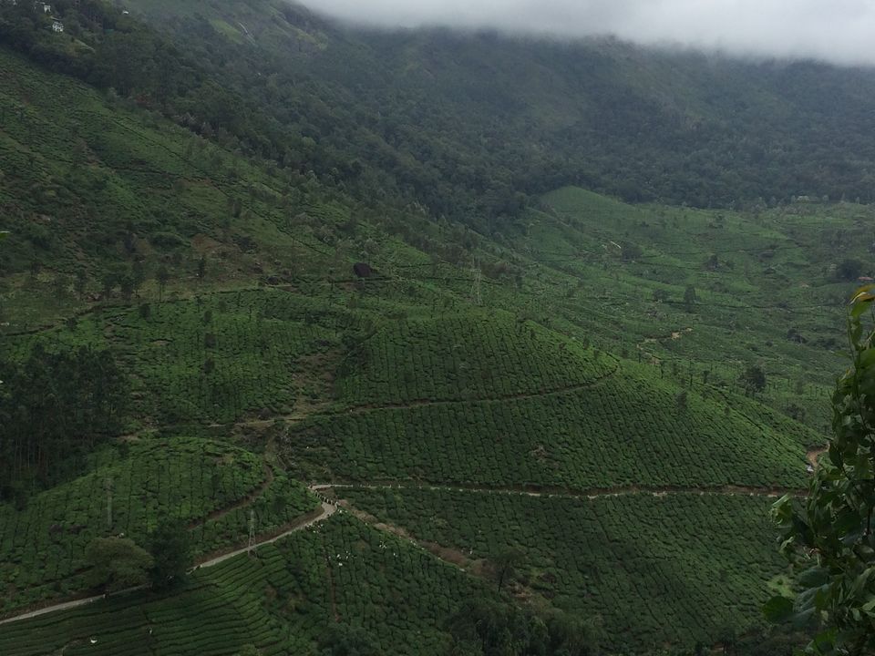 Photo of Kerala in Monsoon 5/7 by ASHISH RAWAT
