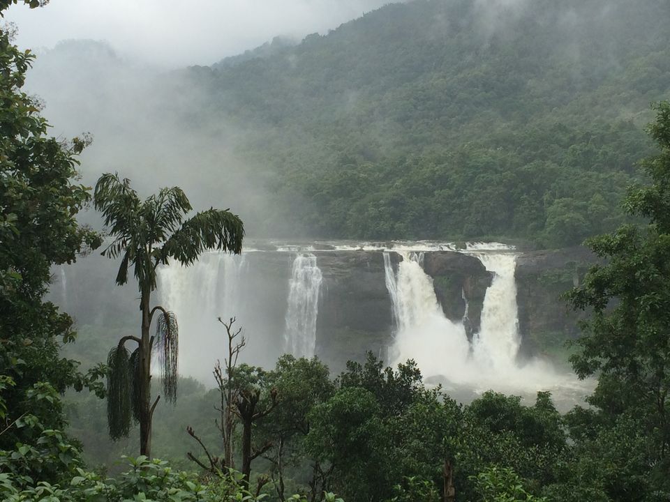 Photo of Kerala in Monsoon 6/7 by ASHISH RAWAT