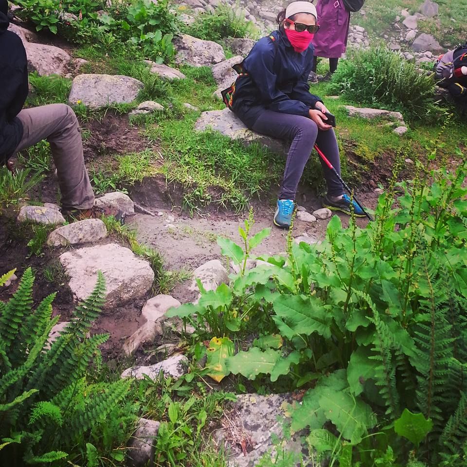 Photo of Day 3: Siagoru (12900 ft) by muculica amra