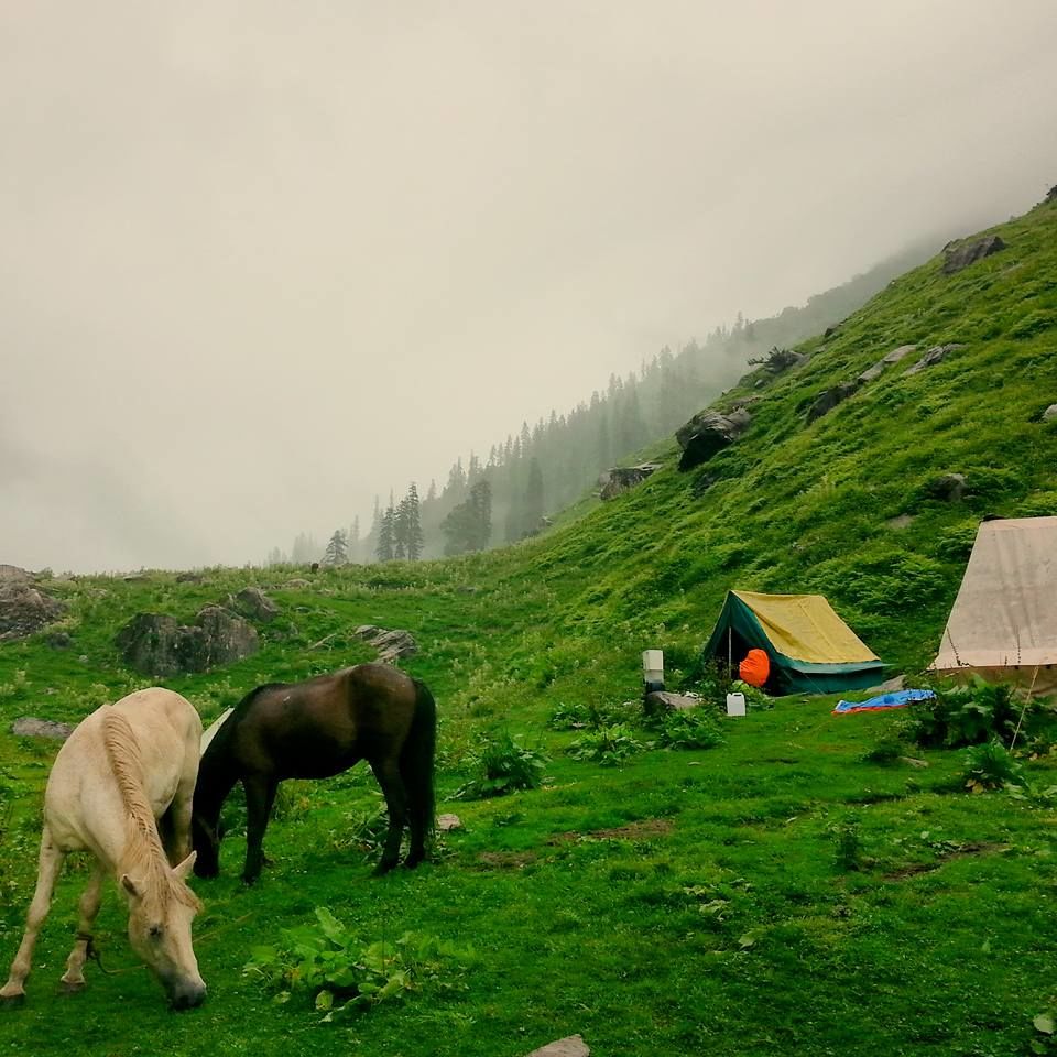 Photo of Hampta pass trek, a must do in summer. by muculica amra