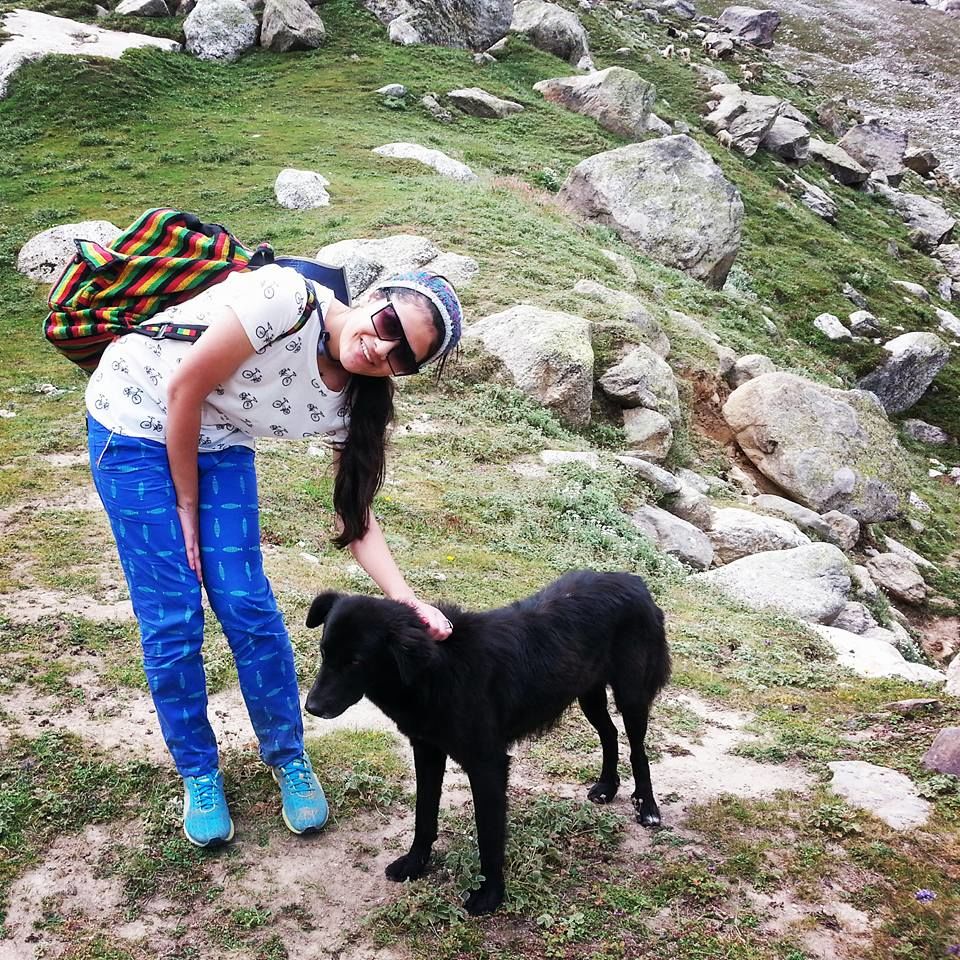 Photo of Day 4: Chatru (11000 ft) by muculica amra