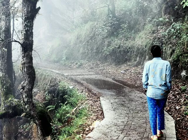 Photo of Walk in the woods by muculica amra