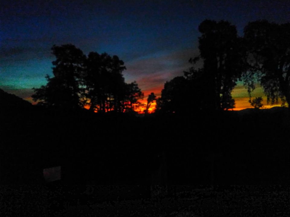 Photo of Chopta, Uttarakhand, India by Nikita Yaduvanshi
