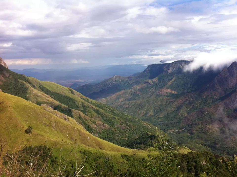 Photo of Day 5-7 :Munnar, India by Pooja Chaudhary