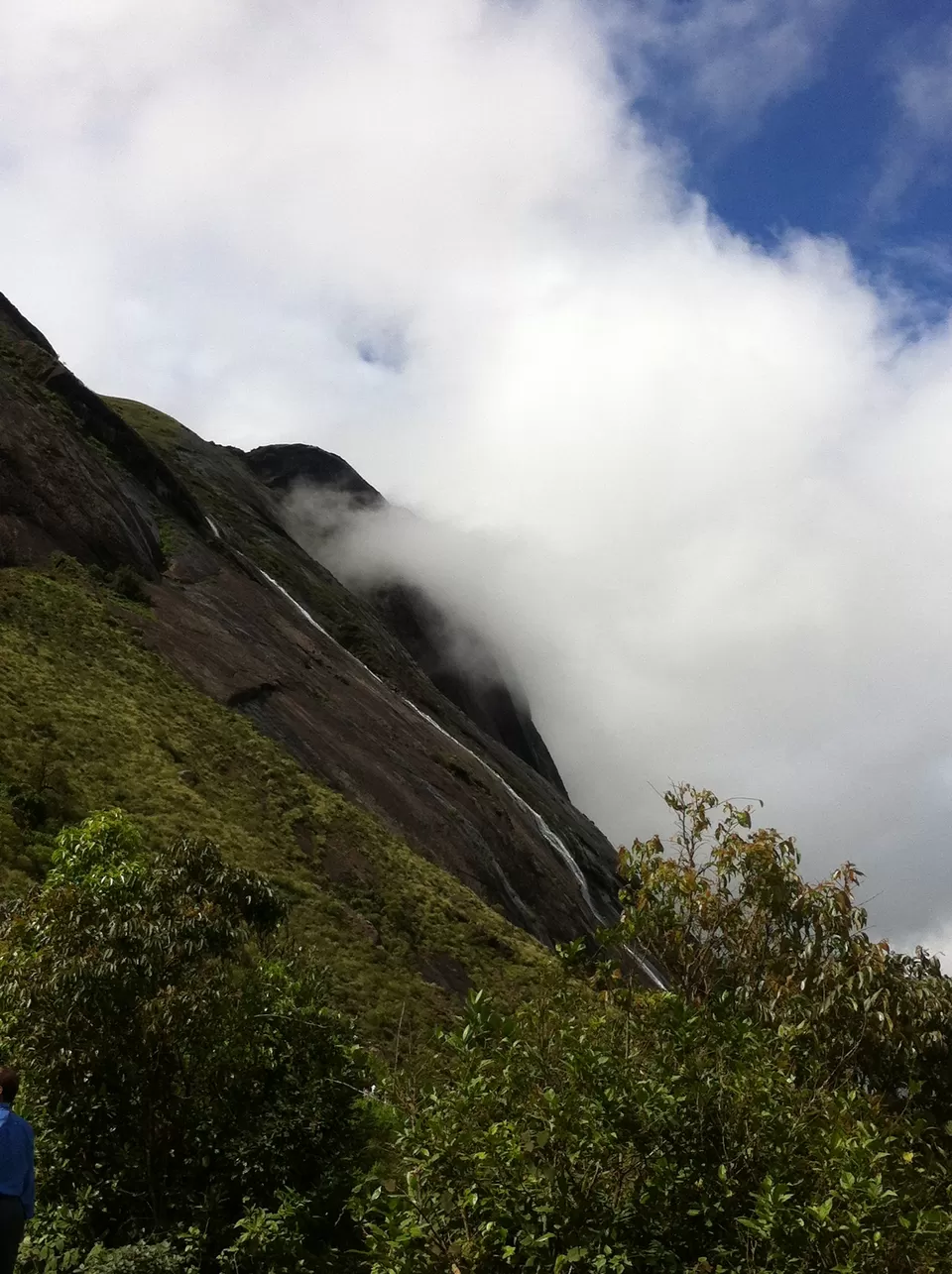 Photo of Day 5-7 :Munnar, India by Pooja Chaudhary