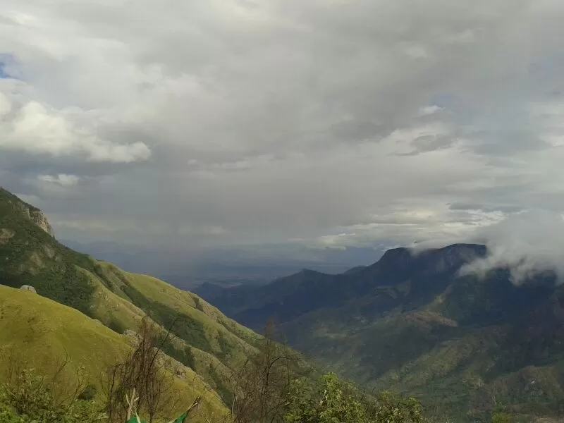 Photo of Day 5-7 :Munnar, India by Pooja Chaudhary