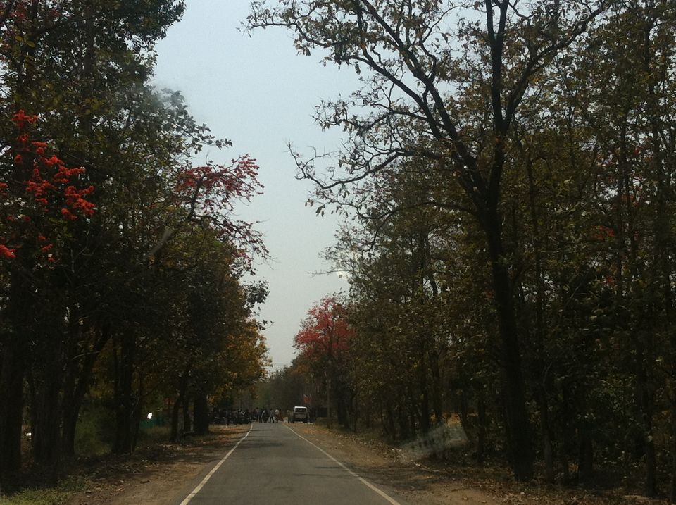 Photo of and the road was worth travelling on! by Pooja Chaudhary