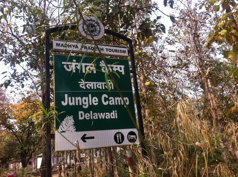 Photo of entry to the jungle camp by Pooja Chaudhary