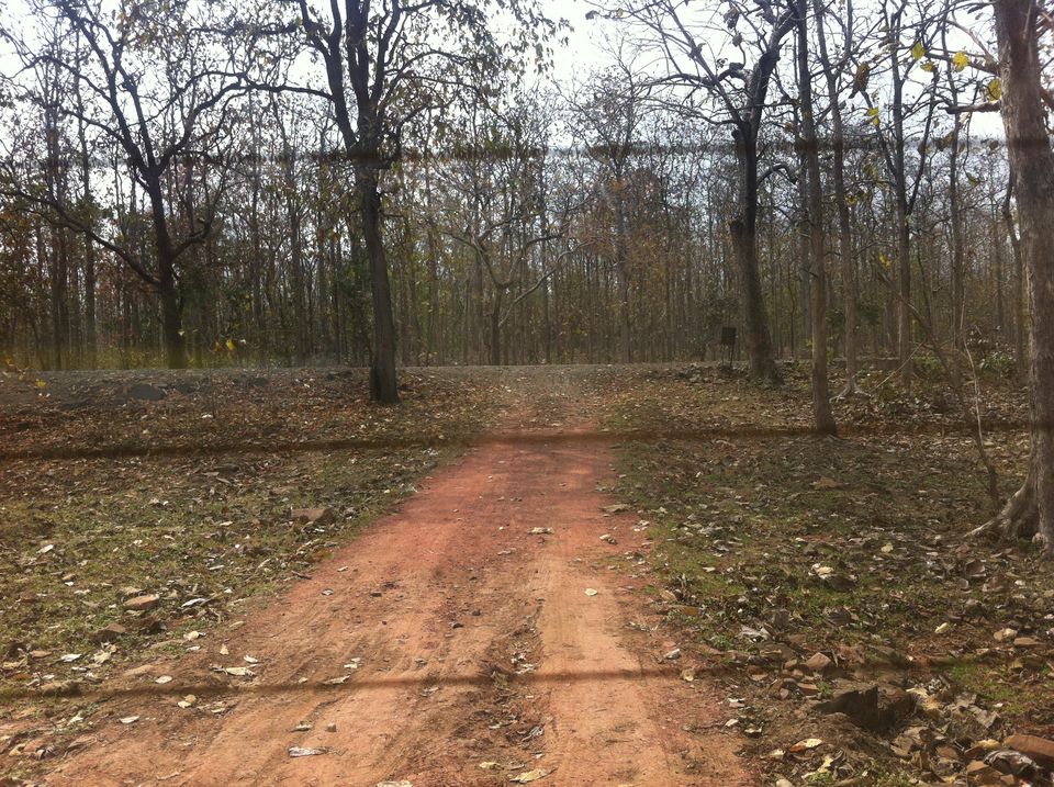 Photo of the road less traveled by by Pooja Chaudhary