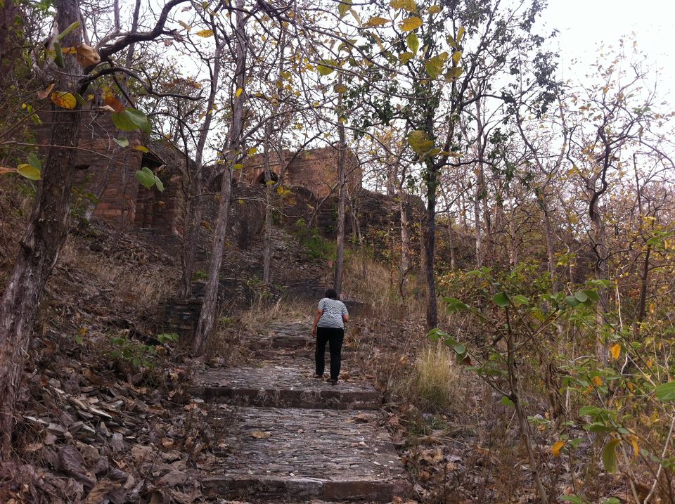 Photo of steps to the fort by Pooja Chaudhary
