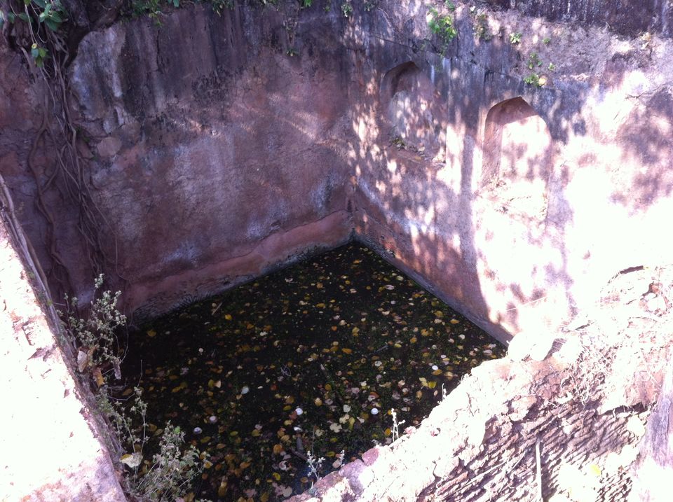 Photo of A bowli in the premises to keep the fort cool by Pooja Chaudhary