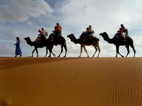 Photo of 4 Days Trip from Fes to Marrakech via Sahara-Desert. by Morocco Exploration Trips.com