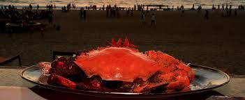 Photo of Goa! Beyond Beach, Beer and Bass!! 2/6 by Nishtha Narang