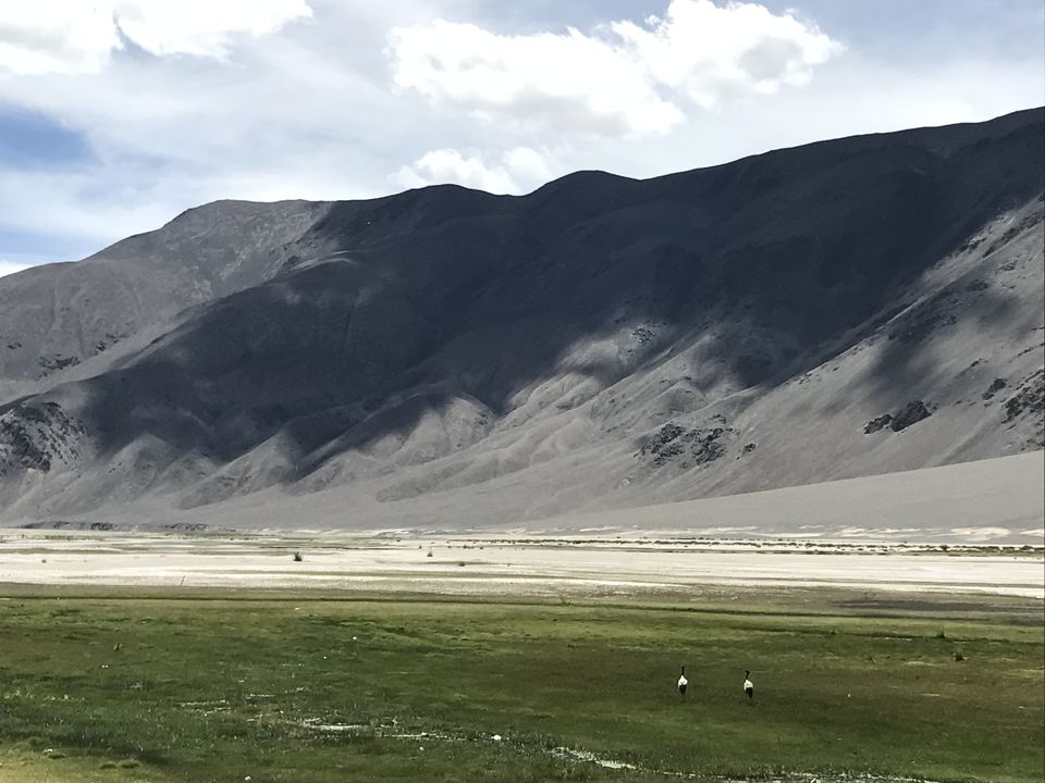 Photo of The Hidden Gems of Ladakh (Jangthang: The Northern Plains) by Lost